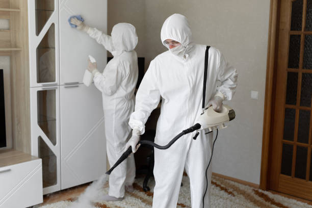 Affordable Infectious Disease Decontamination solutions in Alexandria, VA